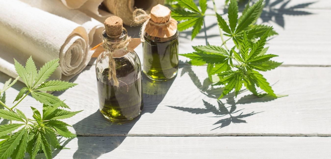 Read more about the article What is CBD Oil