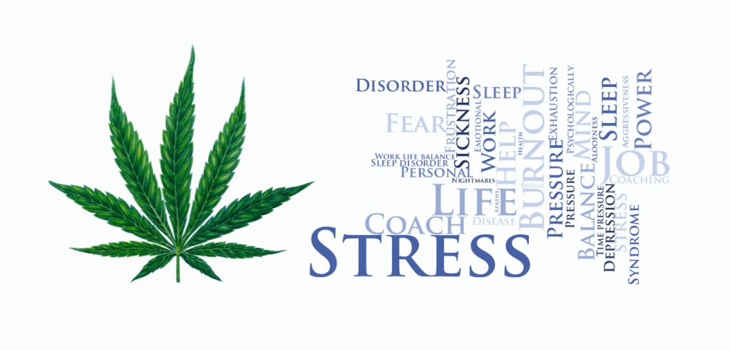 Stress Blog image